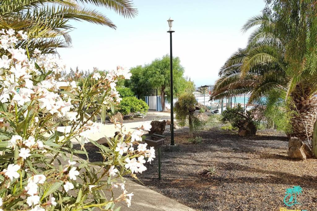 Appartement Bouganville Rez-De-Chaussee Wifi Costa De Antigua Exterior foto